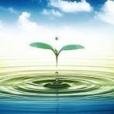 VAI TRÒ QUAN TRỌNG CỦA NƯỚC ĐỐI VỚI SỨC KHOẺ